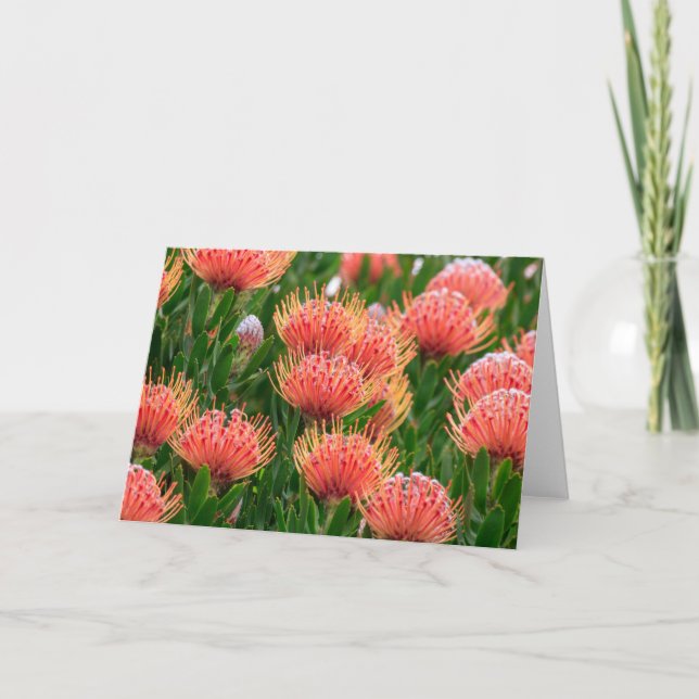 Native flowers, Cape Town South Africa Holiday Card (Front)