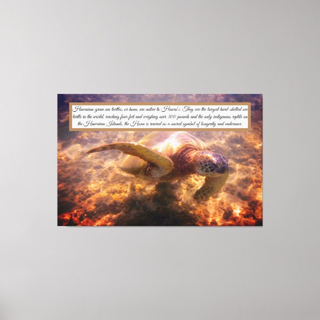 Native Hawaiian turtle Canvas Print (Front)