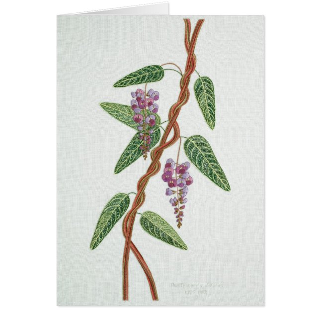 Native lilac Card (Front)