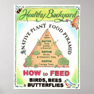 Native Plants Feed Birds, Bees and Butterflies Poster