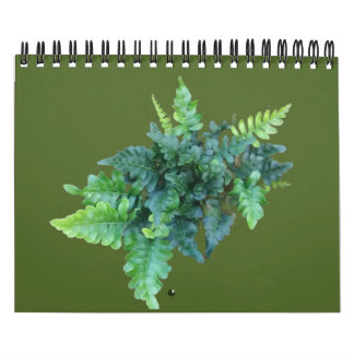 Native Plants - Pacific northwest Calendar