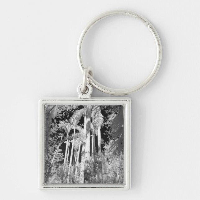 Native Royal Palms in Fakahatchee Strand, Key Ring (Front)