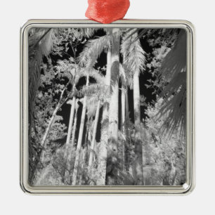 Native Royal Palms in Fakahatchee Strand, Metal Tree Decoration