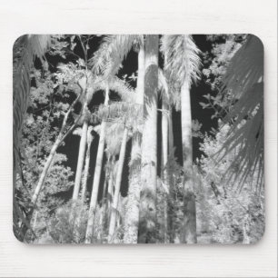 Native Royal Palms in Fakahatchee Strand, Mouse Mat