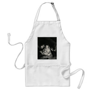Nativity Baby Jesus Virgin Mary Angels Black White Standard Apron