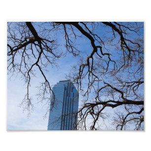 Natural and Artificial in Dallas, Texas Photo Print