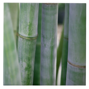 Natural Bamboo Zen Background Customised Template Tile