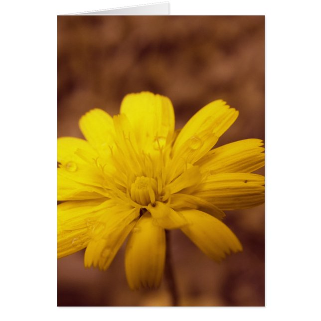 Natural Beauty Card (Front)