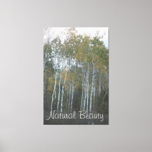 Natural Beauty White Birch Canvas Print (Front)