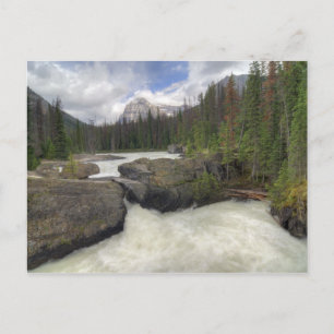 Natural Bridge Postcard