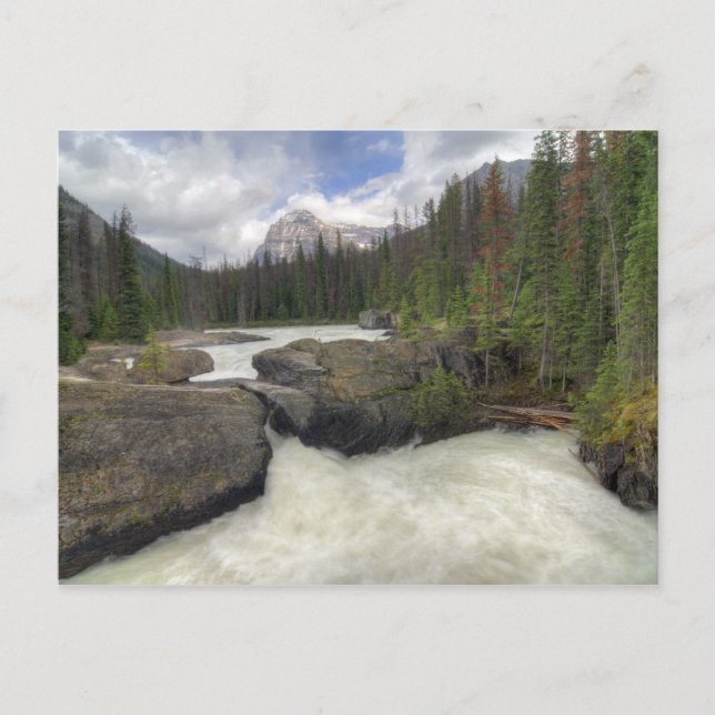 Natural Bridge Postcard (Front)