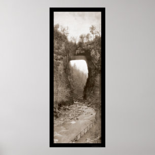 Natural Bridge VA Photo 1909 Poster