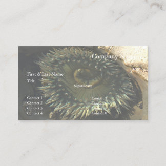 Natural Bridges Anemone 2 Business Card