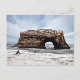 Natural Bridges State Beach of Santa Cruz Postcard