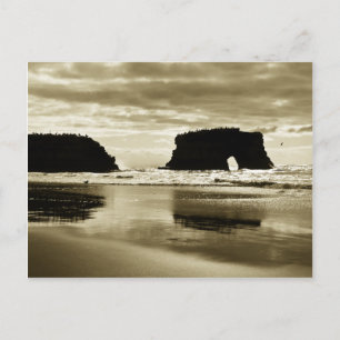 Natural Bridges State Beach Postcard