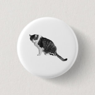Natural Cat Pin Boosts Outfits With Lifelike Appea