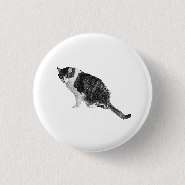 Natural Cat Pin Boosts Outfits With Lifelike Appea (Front)