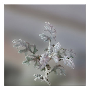 Natural Christmas Decorations