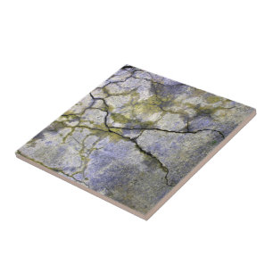Natural Cracked Stone with Lichen Texture Tile