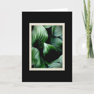 Natural Delicacies 104 Card