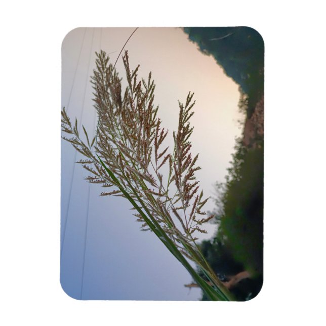 Natural design  magnet (Vertical)
