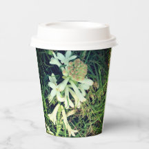 Natural design stylish paper mug