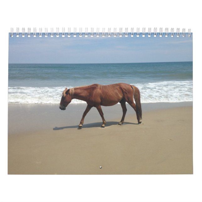 Natural Environment Calender Calendar (Cover)
