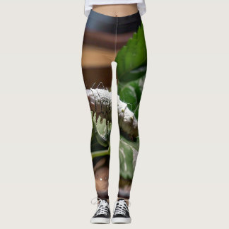 NATURAL FIBER MARVELS: THE JOURNEY OF SILKWORMS LEGGINGS