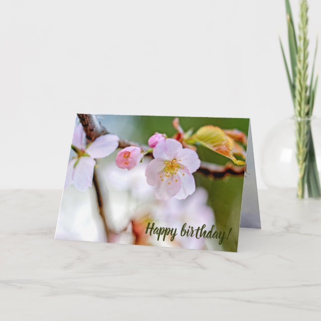 Natural Floral Composition Of Sakura Flowers Card (Front)