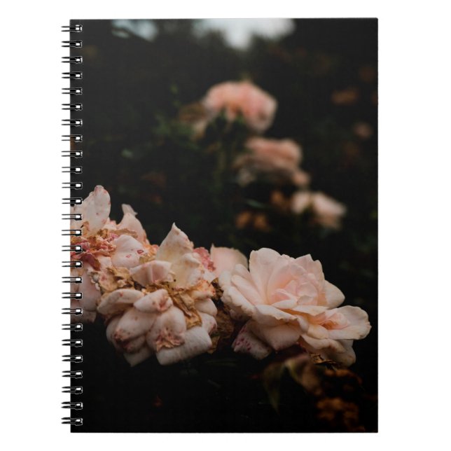 Natural flower bush during summertimeabstract, aro notebook (Front)