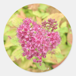 Natural Flower Heart - pierced by arrow. Classic Round Sticker