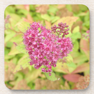 Natural Flower Heart - pierced by arrow. Coaster