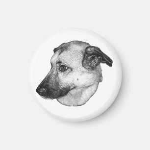 Natural Focus, Dog Magnet