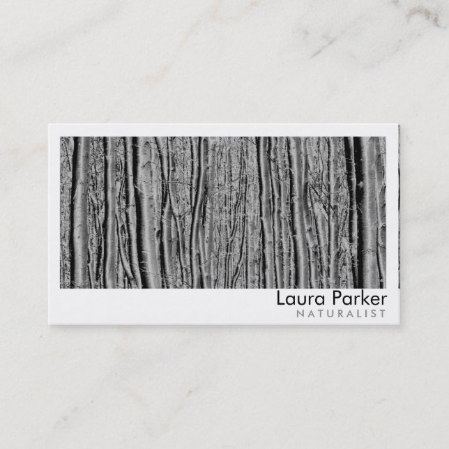 Natural Forest Birch Tree Care Landscape Lawn Business Card (Front)