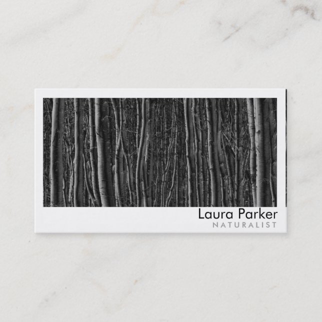 Natural Forest Birch Tree Care Landscape Lawn Business Card (Front)
