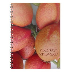 Natural fruit art gift of daughters day valentine notebook