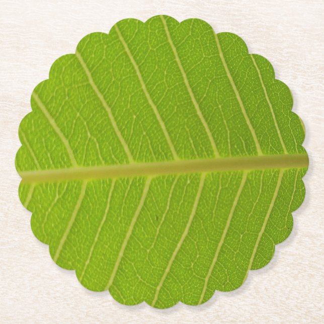 Natural Green Leaf and Light Yellow Line Design Paper Coaster (Front)