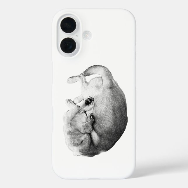 Natural Guardian Case-Mate iPhone Case (Back)