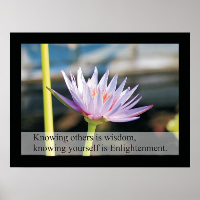 Natural Health Quotes and Sayings Poster Lao Tzu (Front)