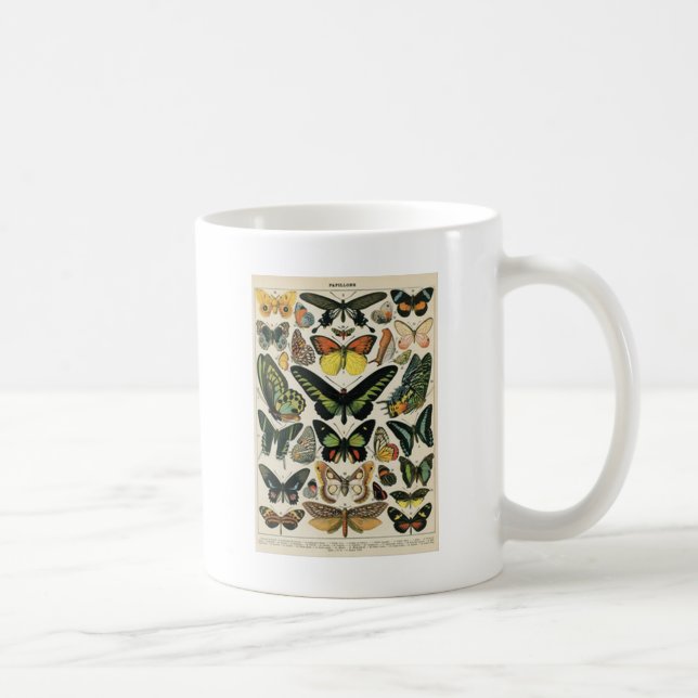 Natural History Butterfly Coffee Mug (Right)
