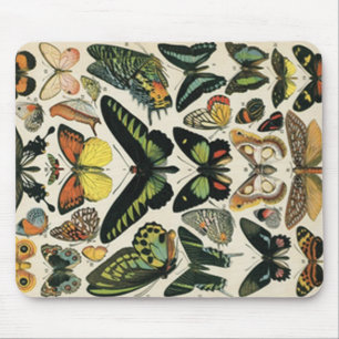 Natural History Butterfly Mouse Mat