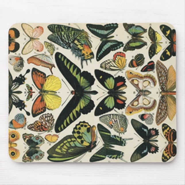 Natural History Butterfly Mouse Mat (Front)