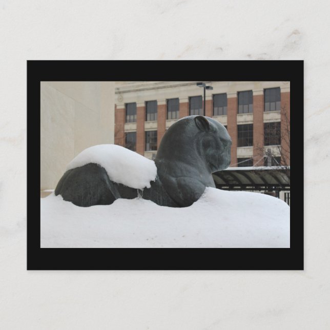 Natural History Museum, Ann Arbor, MI Postcard (Front)