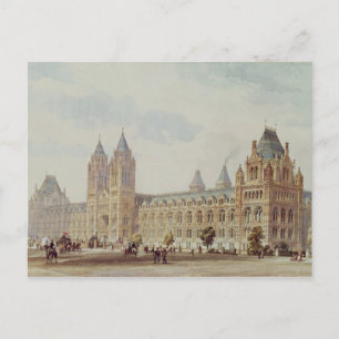 Natural History Museum Postcard