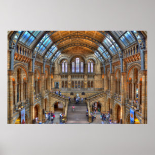 Natural History Museum Poster