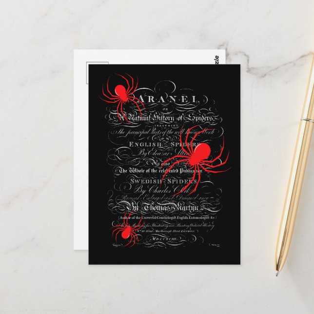 Natural History Title Page Spiders Calligraphy Postcard (Front/Back In Situ)