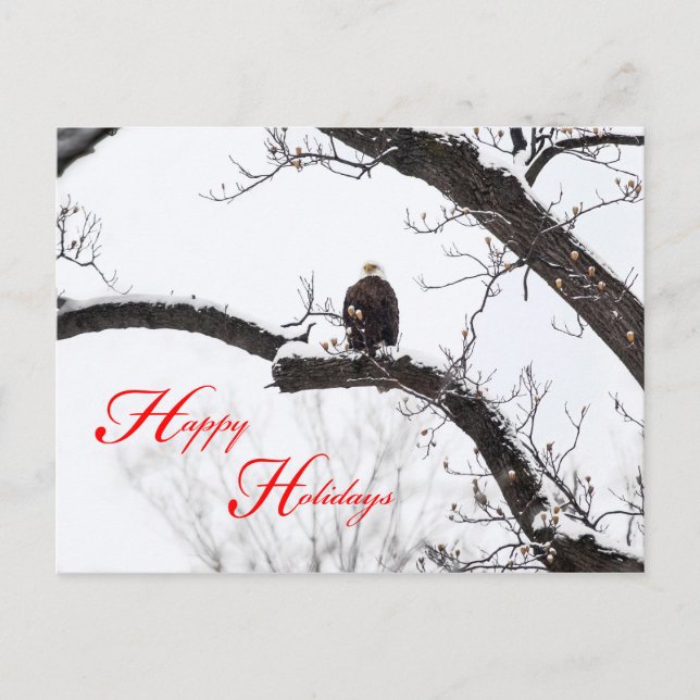 Natural Holiday Postcard (Front)