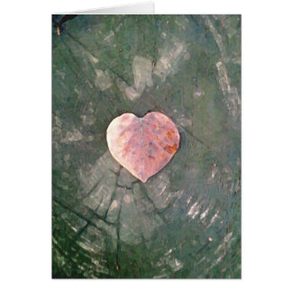Natural Love, IIII