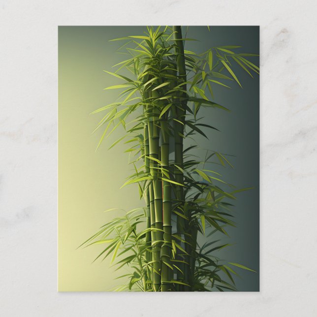 Natural Lucky Bamboo Postcard (Front)