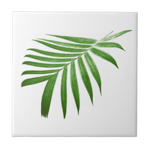 Natural Modern Palm Leaf Tile